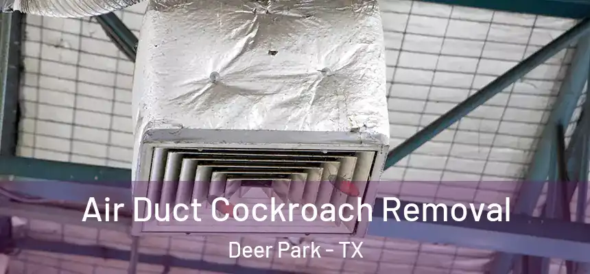 Air Duct Cockroach Removal Deer Park - TX