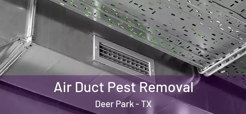 Air Duct Pest Removal Deer Park - TX