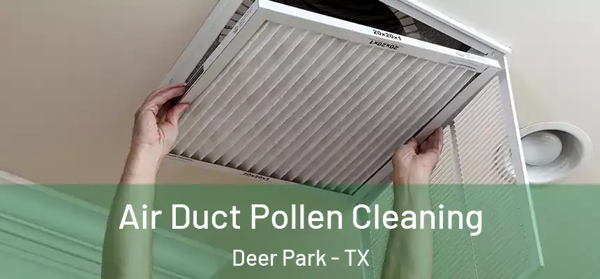Air Duct Pollen Cleaning Deer Park - TX