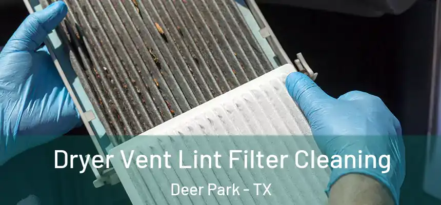 Dryer Vent Lint Filter Cleaning Deer Park - TX