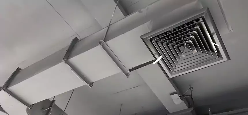 Restorative Allergy Relief Vent Cleaning – Coil, Blower & Housing Detail in Deer Park