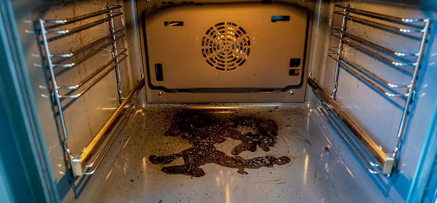 Our Dryer Vent Mold Cleaning Services in Deer Park, TX