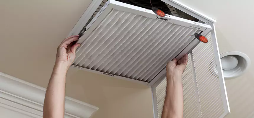 Our Insect Removal from Air Ducts Services in Deer Park, TX