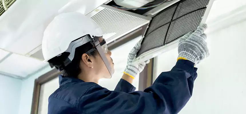 Our Mold & Mildew Removal from Air Ducts Services in Deer Park, TX