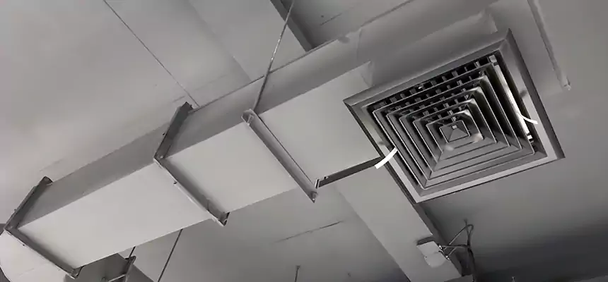 Our Pest Removal From Ducts Services in Deer Park, TX