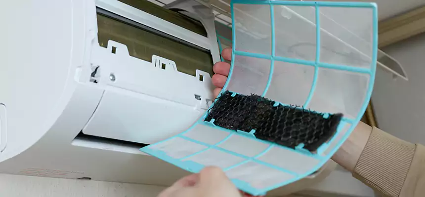 Gentle Ductwork Odor-Control Pet Dander Duct Cleaning in Deer Park, TX