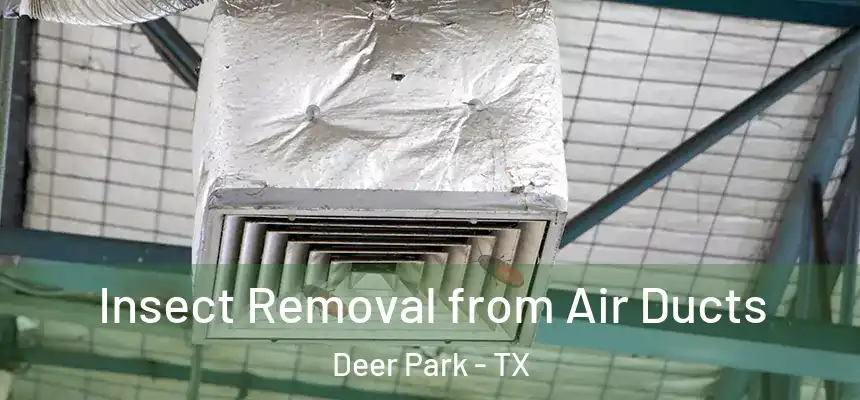  Insect Removal from Air Ducts Deer Park - TX