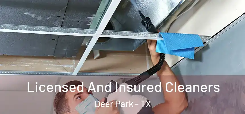 Licensed And Insured Cleaners Deer Park - TX