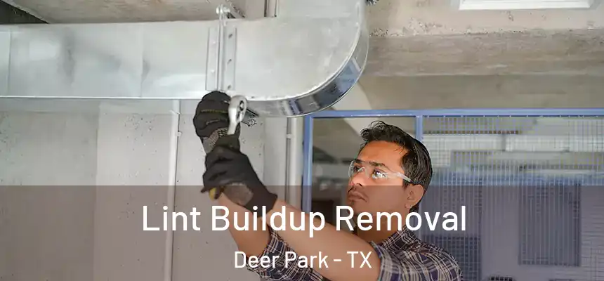  Lint Buildup Removal Deer Park - TX