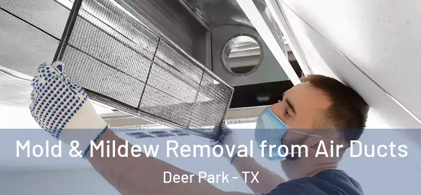Mold & Mildew Removal from Air Ducts Deer Park - TX