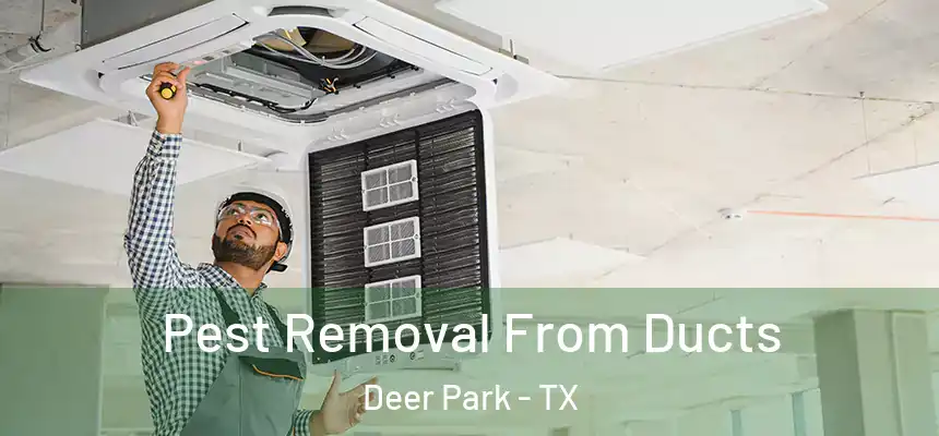 Pest Removal From Ducts Deer Park - TX