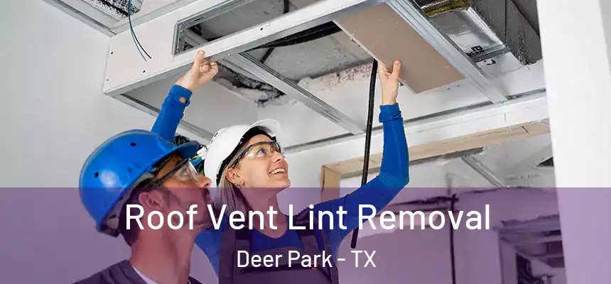  Roof Vent Lint Removal Deer Park - TX
