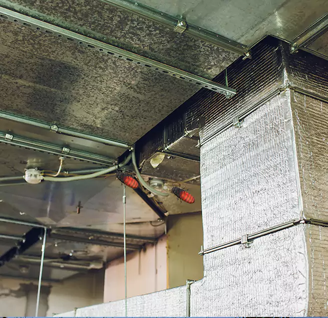 Why Homeowners & Businesses Trust Us in Deer Park, TX?