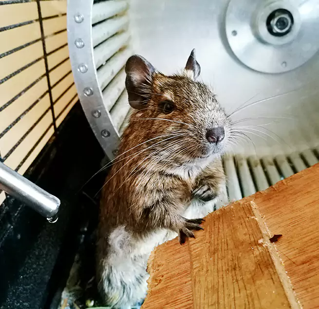 Why Homeowners & Businesses Trust Us Deer Park, TX