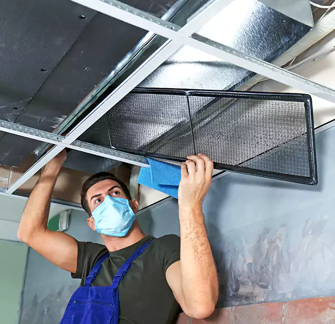 Why Homeowners Businesses Trust Us in Deer Park, TX