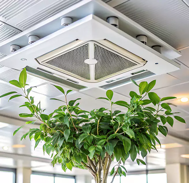 Why Homeowners & Businesses Trust Us in Deer Park, TX?